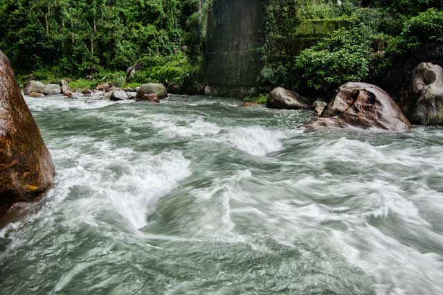 State Fisheries Development Corporation Ltd. (SFDC)